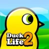 Duck Life 2