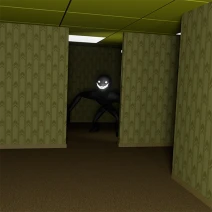 The Backrooms 3D